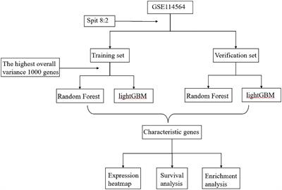 Construction of diagnostic models for the progression of hepatocellular carcinoma using machine learning